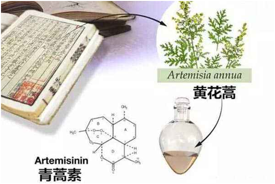 安博体育官方网站,：向中医药看齐，与世界共享中医药文化(图1)